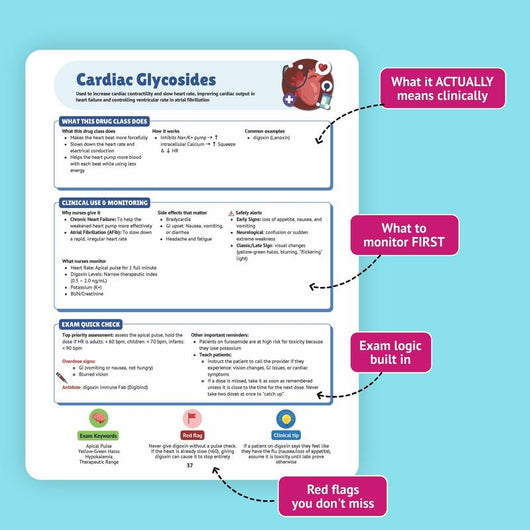 The Essential Pharmacology Guide for Nursing Students